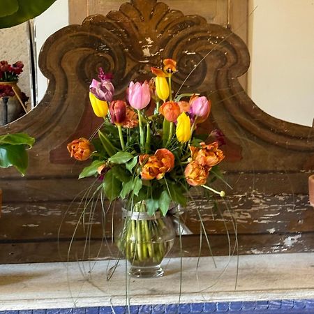 Bed and Breakfast Casale San Giorgio Luco Mugello Екстер'єр фото